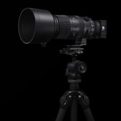 Sigma 60-600mm f4.5-6.3 DG DN OS Sports Lens (Sony E)
