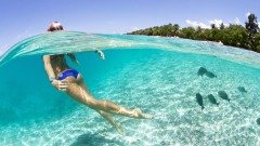 Shoot Gopro Hero 5 Su Altı Dome Port